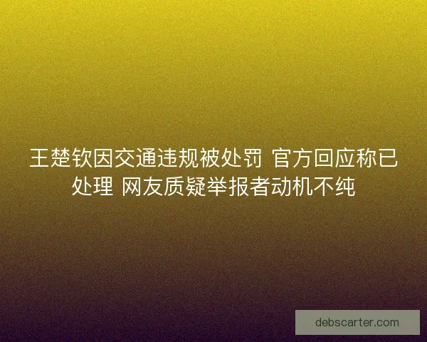 王楚钦因交通违规被处罚 官方回应称已处理 网友质疑举报者动机不纯